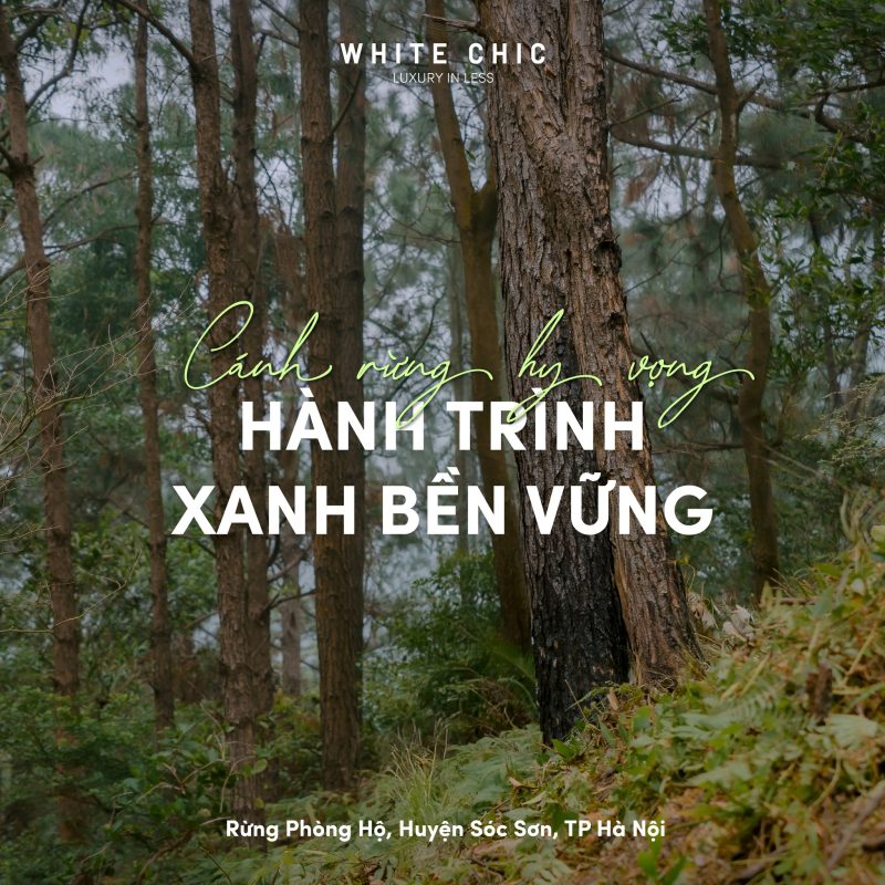 WHITE CHIC đã trồng 200 cây xanh tại Rừng phòng hộ Sóc Sơn, nằm trong khuôn khổ dự án Cánh Rừng Hy Vọng